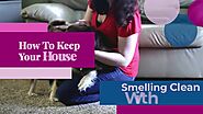 Secrets To Keep Your House Smelling Clean With Pets