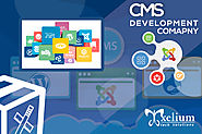 DRUPAL: A Reliable Platform Over Other CMS : CMS Development Company