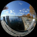 FishEye