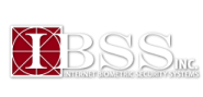 Internet Biometric Security Systems