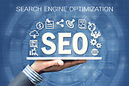 How SEO Company in Cape Coral is Beneficial for Your Business?