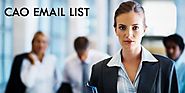 CAO Email List for your marketing drive