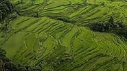 Yuanyang – tarasy ryżowe w prowincji Yunnan | Gdzie indziej