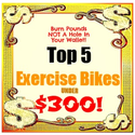 Best Upright Exercise Bikes Under $300 For 2014