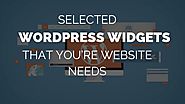 Selected WordPress Widgets That You’re Website Needs