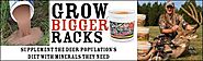 The Untold Secret To Whitetail Deer Mineral Licks