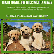 Hidden Invisible Dog Fences Wichita Kansas