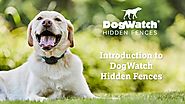 Introduction to DogWatch® Hidden Fences