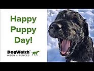 DogWatch Celebrates National Puppy Day 2019!