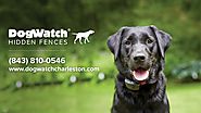Meet DogWatch of Greater Charleston