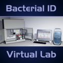 The Virtual Bacterial ID Lab