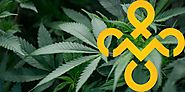 ERP for the cannabis industryExperience the power of the platform
