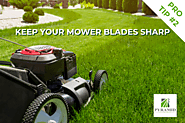Mower Sharp