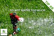 Do not water too much