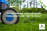 To determine your mowing frequency use the 1/3 rule