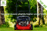 Set your mower higher under tree