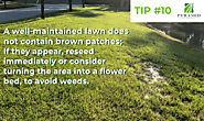 Reseed brown patches or turn them into flower beds