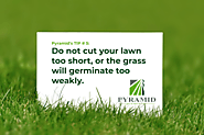 Do not cut your grass too short