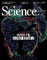 Self-repairing cells: How single cells heal membrane ruptures and restore lost structures | Science