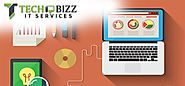 Services Techbizz IT solutions are proficient at