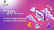 Superior offer on Excellent Digital Marketing Services in USA on this Christmas
