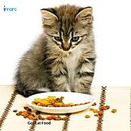 Cat Food Market Report: Share, Growth, Trends & Forecast 2018-2023