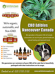 CBD Edibles Vancouver Canada