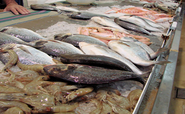 Fresh Fish South Florida: Best quality food