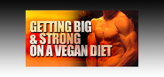 Bodybuilding.com - Getting Big & Strong On A Vegan Diet!