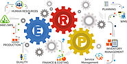 Basic Modules of ERP Solution in the Manufacturing Sector