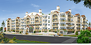 Ahad Builders- Meadows