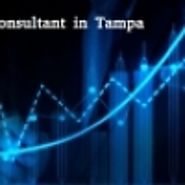 Find a Sharepoint Consultant in Tampa