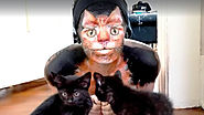 Amazing Video Shows The Cat Makeup Transformation - Video - womenzilla.com