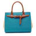 Elegant Classy Color Tote Handbag for big sale!