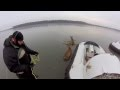GoPro: Hovercraft Deer Rescue