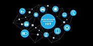 Blockchain IoT Development