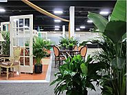 Make your place look greener with indoor green Plant Hire Melbourne.