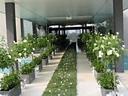 Make your wedding natural with plant hire Melbourne Professional Services