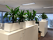Plant Hire Services Melbourne for Your Betterment