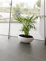 Large Indoor Plant Pots | Indoor Office Planters Melbourne Description