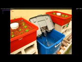 A beginner's Guide to building a Home Aquaponic System on a Low Budget