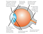 Best Glaucoma Treatment In Delhi NCR | Eye Surgery in Delhi | India