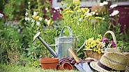September Tips for Your Gardening Calendar – Greenhills Nursery