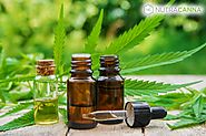 Why CBD Oil is Batter Then Other Products and Highly Recommended?