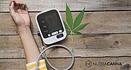 Reduce High Blood Pressure With CBD Oil
