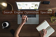 Understanding Search Engine Optimisation Specialist