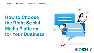 How to Choose the Right Social Media Platform for Your Business - Bonoboz.in