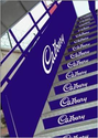 Plane Step Ladder Branding