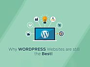 Why Wordpress Website Design is still #1