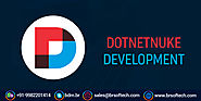 DotNetNuke Development